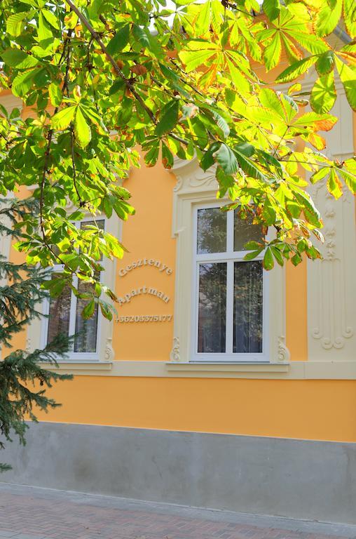 Gesztenye Apartman Makó Exteriér fotografie